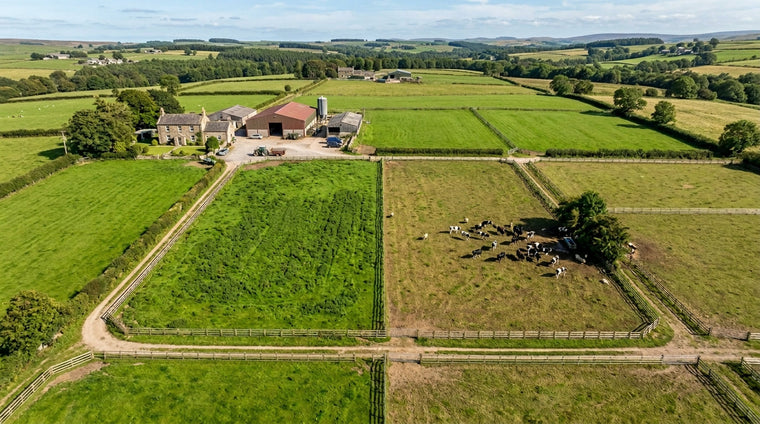 Electric Fencing for Rotational Grazing: Setup & Management