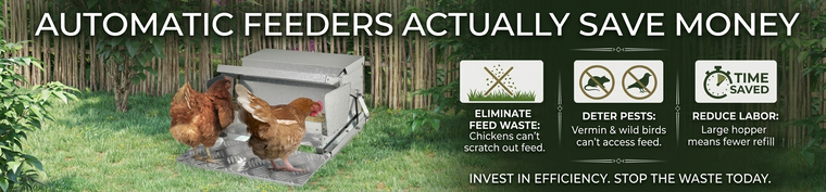 Do Automatic Feeders Actually Save Money?