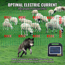 VetraPulse Electric Fence Netting, 42 H X 164L, PE Net Fencing With Posts & Double-Spiked Stakes, Utility Portable Mesh For Goats, Sheep, Lambs, Deer, Hogs, Dogs, Used In Backyards, Farms, And Ranches